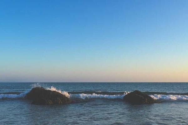 From MVP to Market Leader